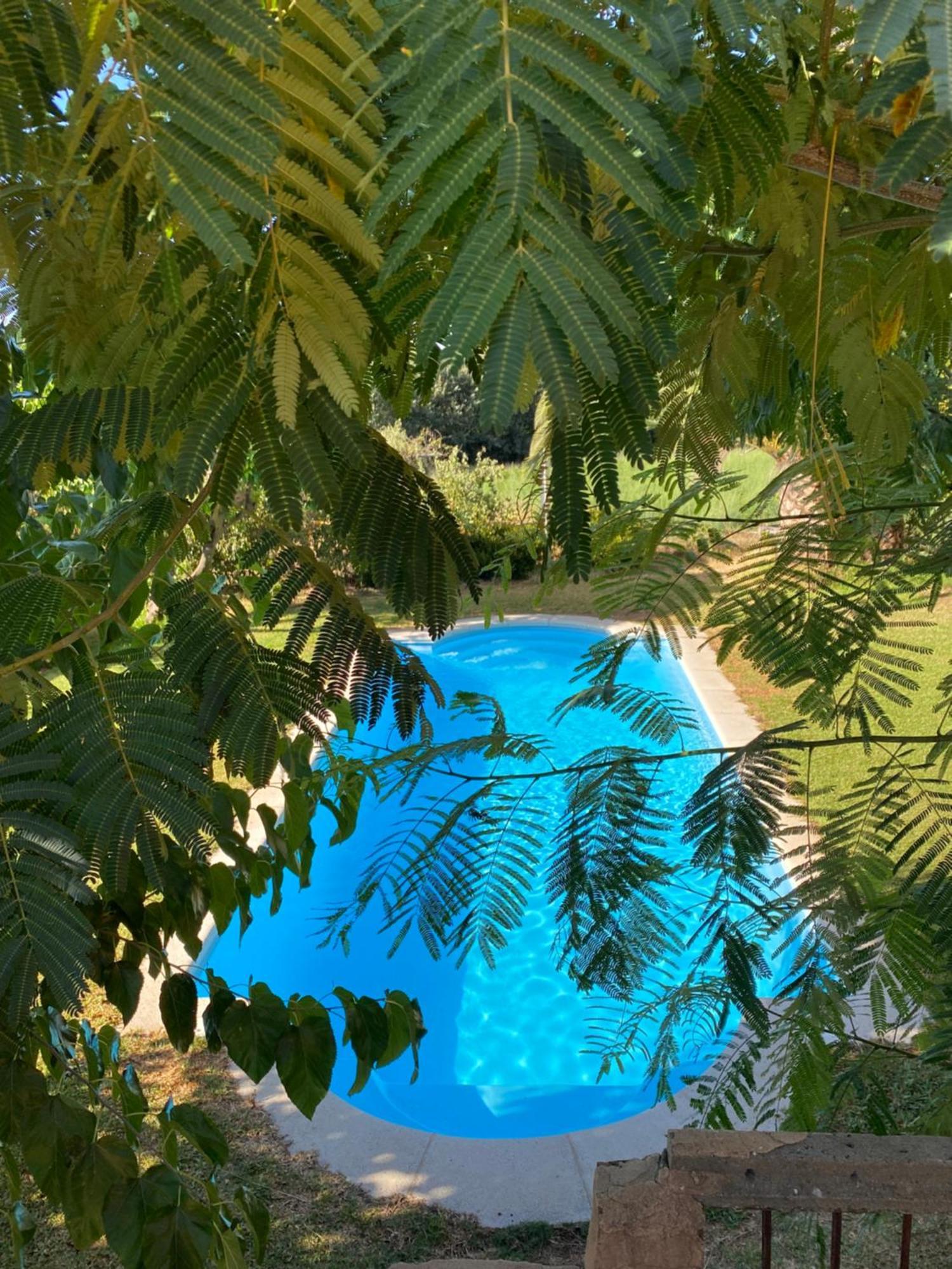 Higueras Y Olivos Villa Candeleda Ngoại thất bức ảnh